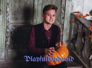 Playfulboydavid