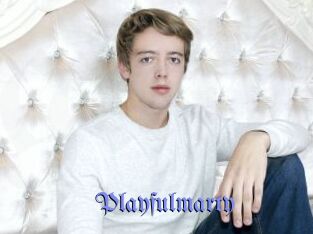 Playfulmarty