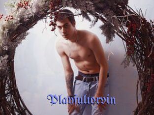 Playfultorvin