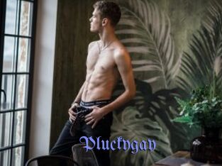 Pluckygay