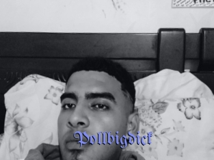 Pollbigdick