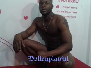 Pollonplayful