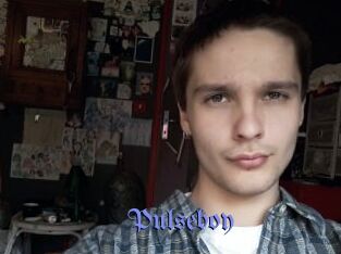 Pulseboy
