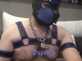 Puprush