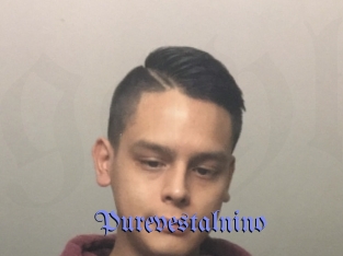 Purevestalnino