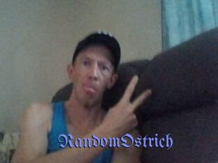 RandomOstrich