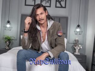 RaySullivan