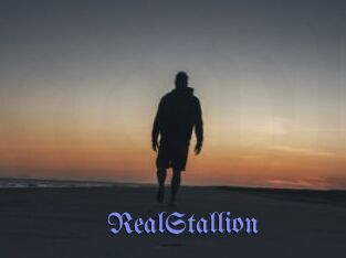 RealStallion