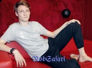 RobSafari