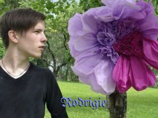 Rodrigie