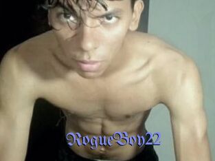 RogueBoy22