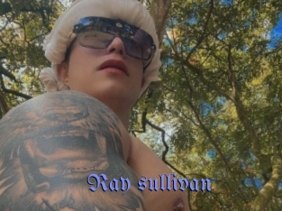 ray_sullivan Gay Buzz