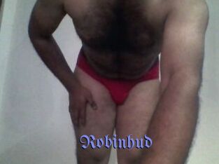 Robinhud