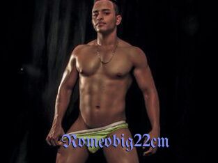 Romeobig22cm