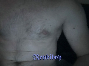 Roybiboy