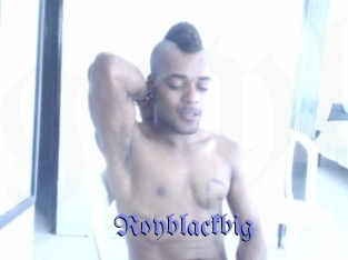 royblackbig Gay Buzz