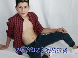 SEBASTWINK