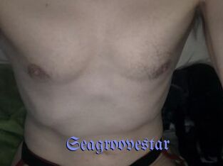 Seagroovestar Gay Buzz