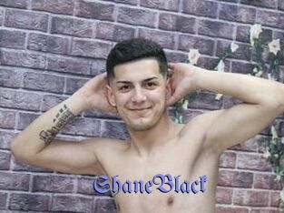 ShaneBlack