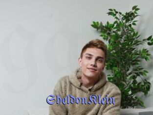 SheldonKlein