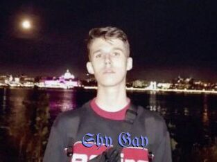 Shy_Gay