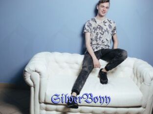 SilverBoyy