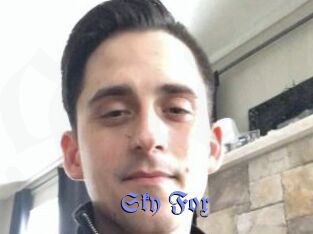 Sky_Fox