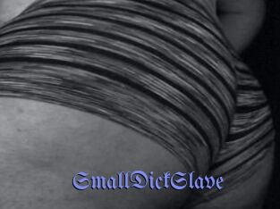 SmallDickSlave
