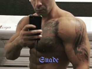 Snade