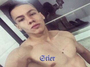 Stier
