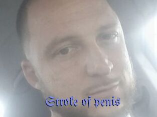 Stroke_of_penis