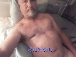 Stud4sale
