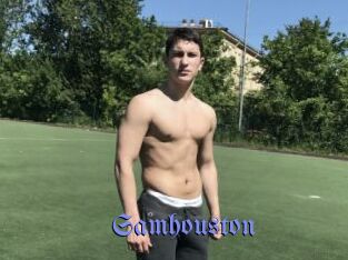 samhouston Gay Buzz