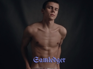Samledger