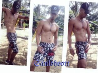 Saulohoott