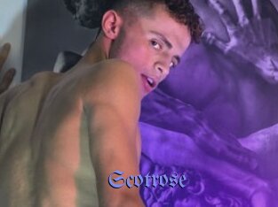 Scotrose