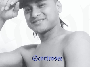 Scottrosee