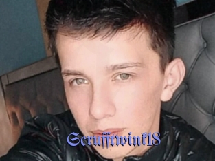 Scrufftwink18