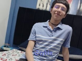 Sexbin