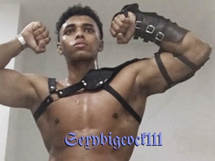 Sexybigcock111