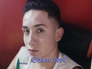 Shane_hook