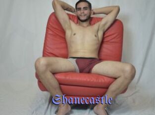 Shanecastle