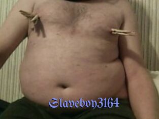 Slaveboy3164