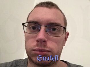 Snakefl