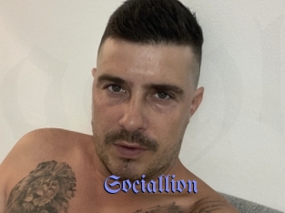 Sociallion