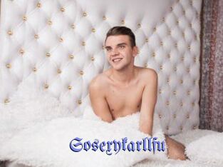 Sosexykarllfu