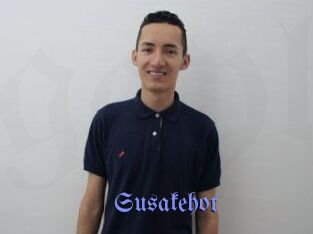 Susakehot