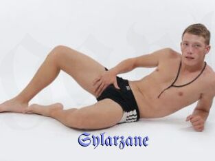 sylarzane Gay Buzz
