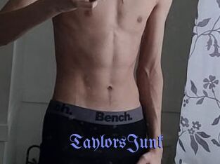 TaylorsJunk