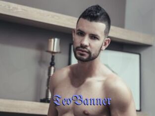 TeoBanner